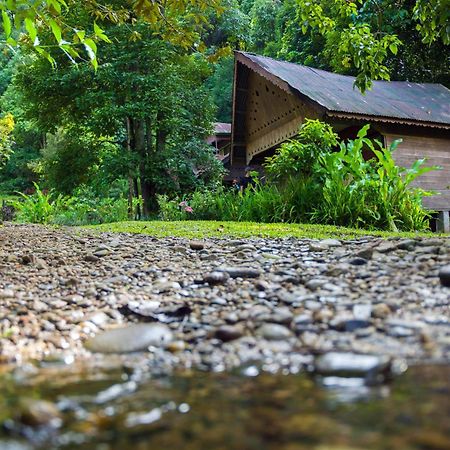 Pak Mus Guest House Ketambe - 0813-7072-1793 Kutacane Ngoại thất bức ảnh