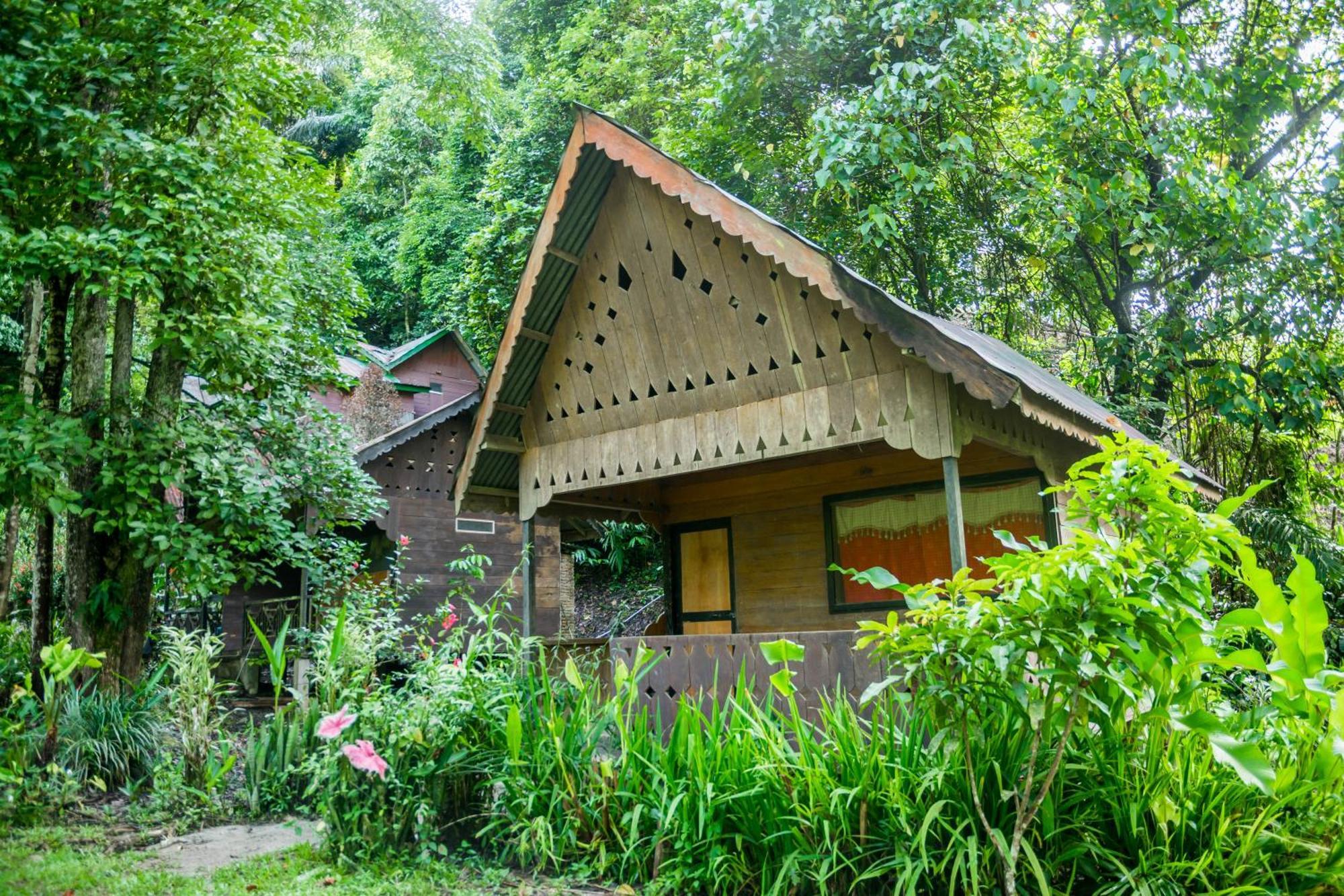 Pak Mus Guest House Ketambe - 0813-7072-1793 Kutacane Ngoại thất bức ảnh