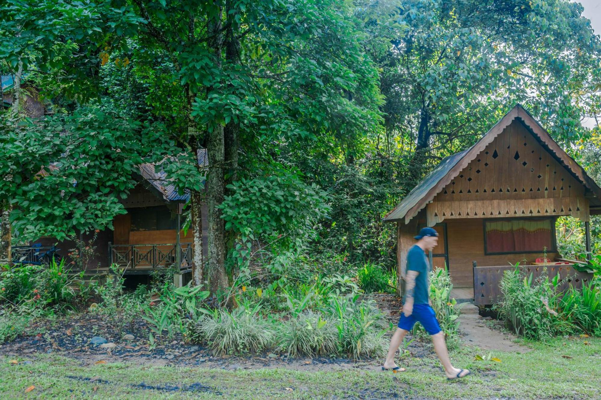 Pak Mus Guest House Ketambe - 0813-7072-1793 Kutacane Ngoại thất bức ảnh