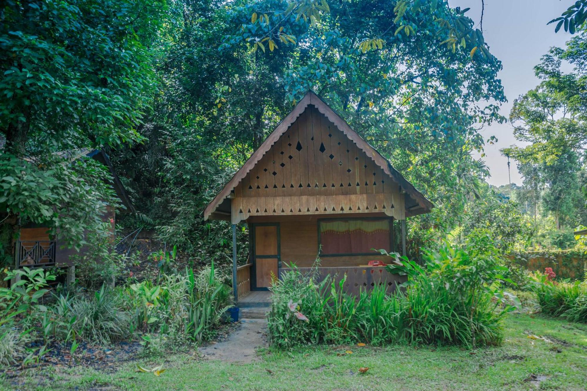 Pak Mus Guest House Ketambe - 0813-7072-1793 Kutacane Ngoại thất bức ảnh