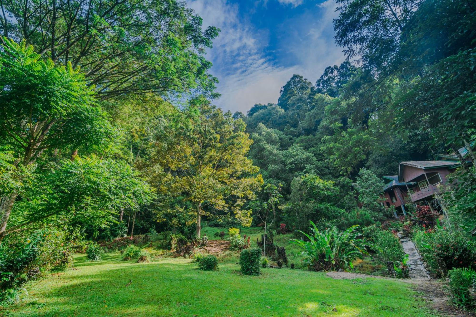 Pak Mus Guest House Ketambe - 0813-7072-1793 Kutacane Ngoại thất bức ảnh