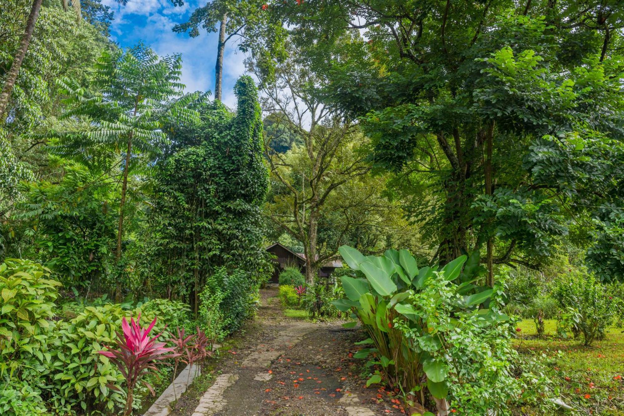Pak Mus Guest House Ketambe - 0813-7072-1793 Kutacane Ngoại thất bức ảnh