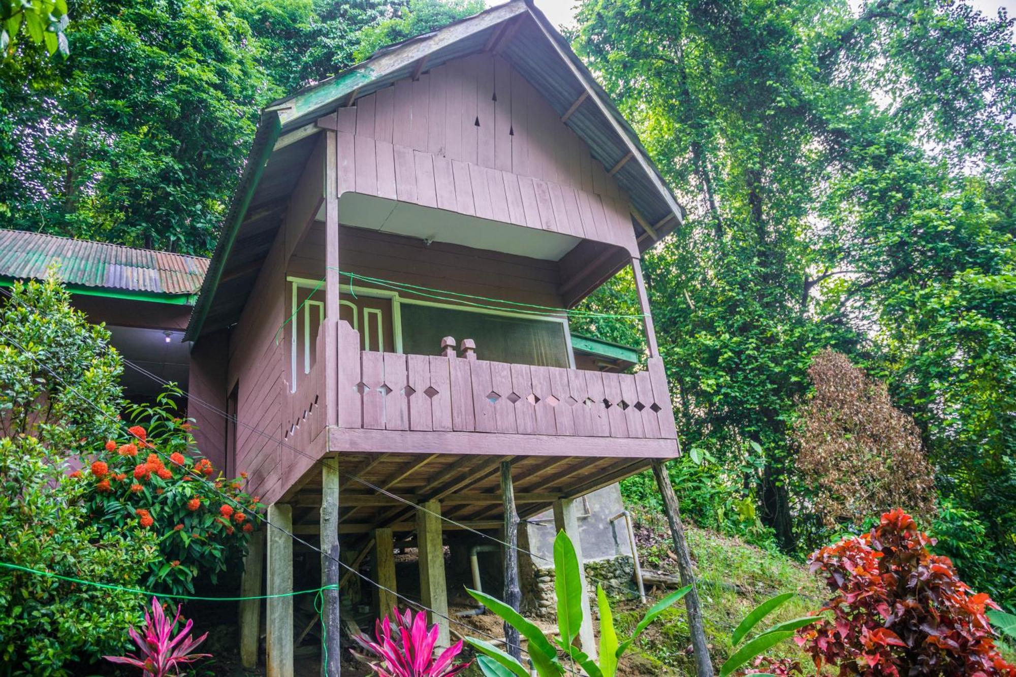 Pak Mus Guest House Ketambe - 0813-7072-1793 Kutacane Ngoại thất bức ảnh