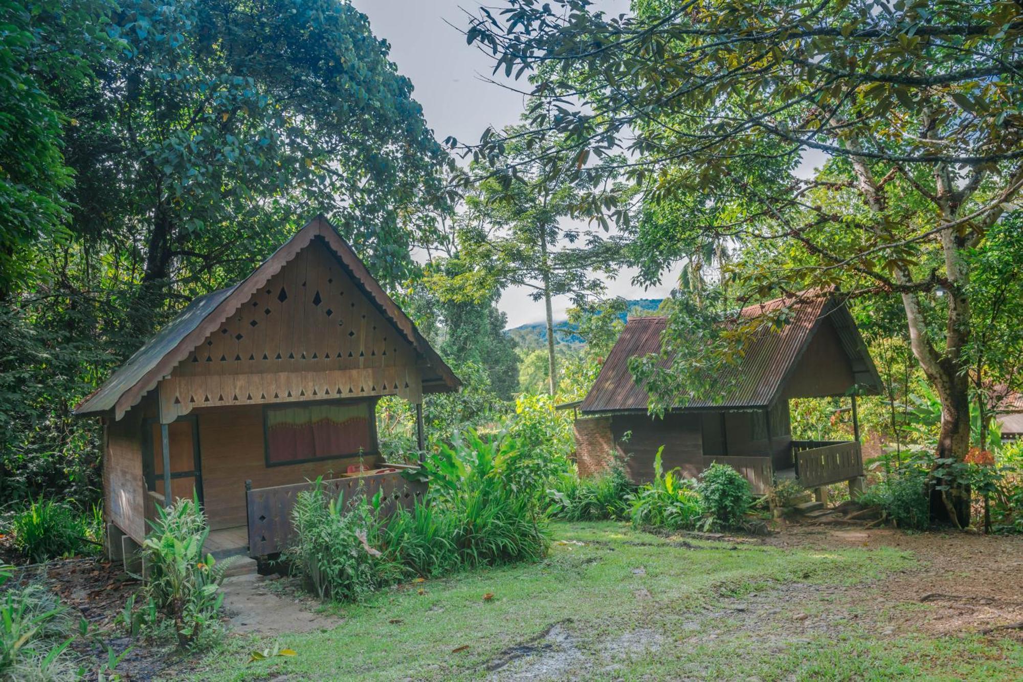 Pak Mus Guest House Ketambe - 0813-7072-1793 Kutacane Ngoại thất bức ảnh