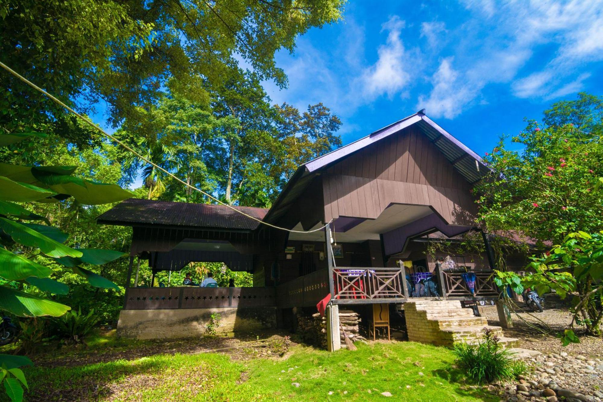 Pak Mus Guest House Ketambe - 0813-7072-1793 Kutacane Ngoại thất bức ảnh