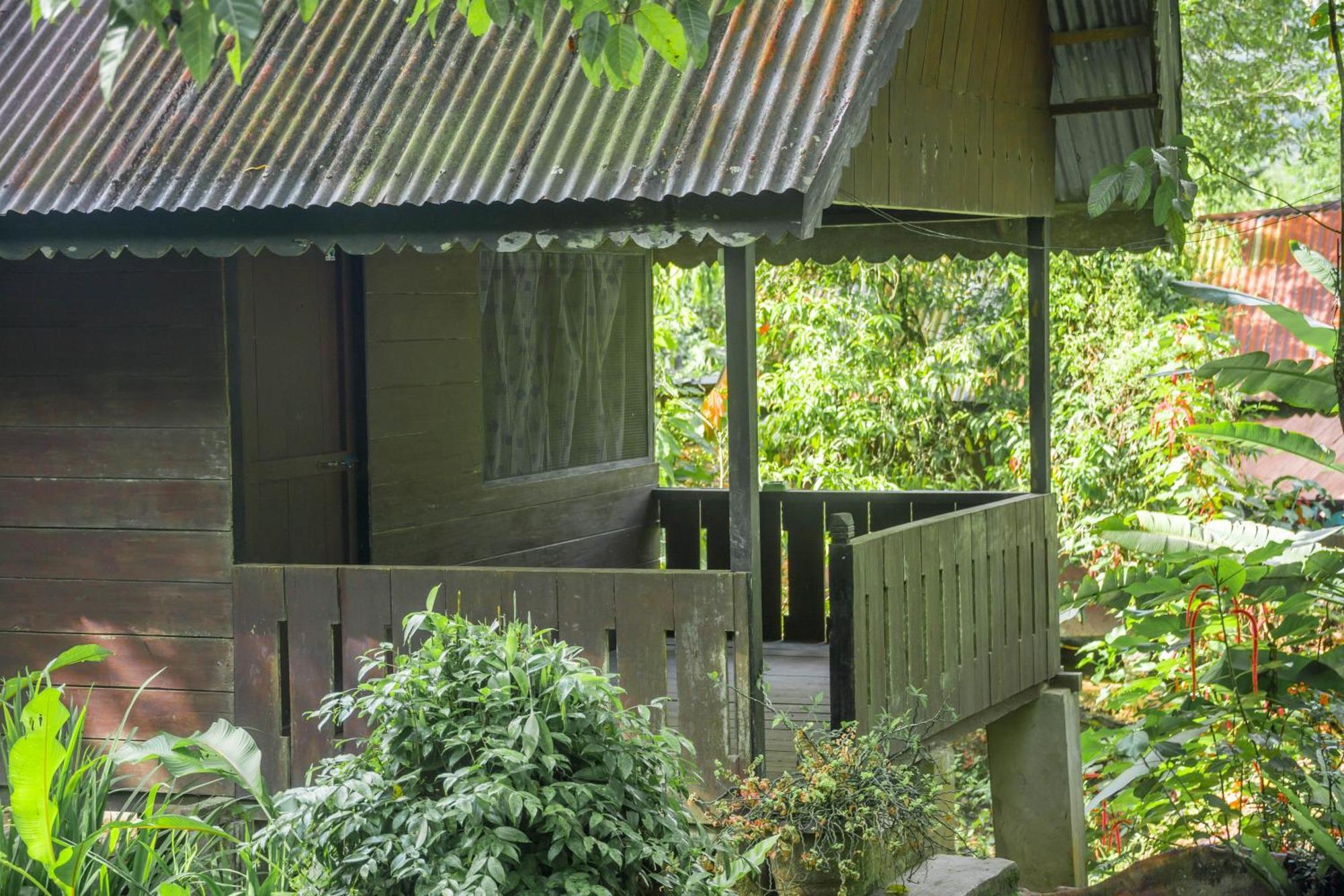 Pak Mus Guest House Ketambe - 0813-7072-1793 Kutacane Ngoại thất bức ảnh