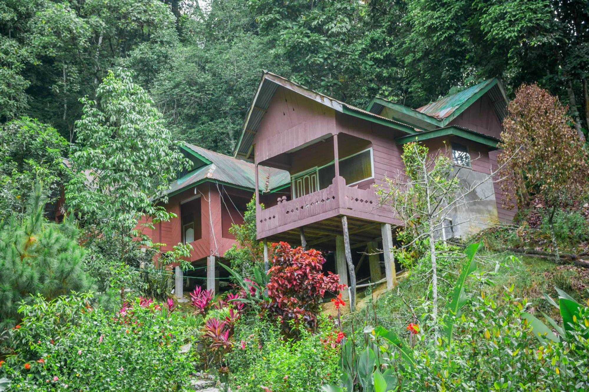 Pak Mus Guest House Ketambe - 0813-7072-1793 Kutacane Ngoại thất bức ảnh