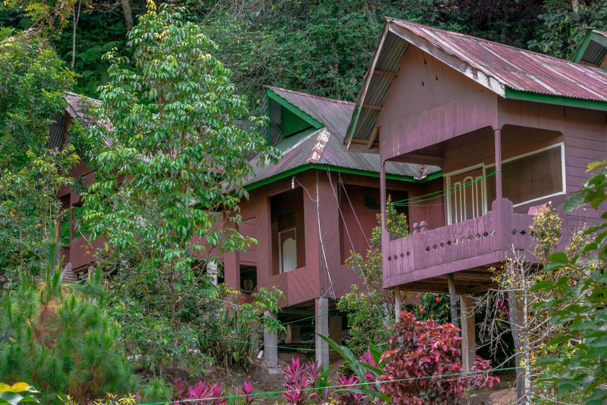 Pak Mus Guest House Ketambe - 0813-7072-1793 Kutacane Ngoại thất bức ảnh