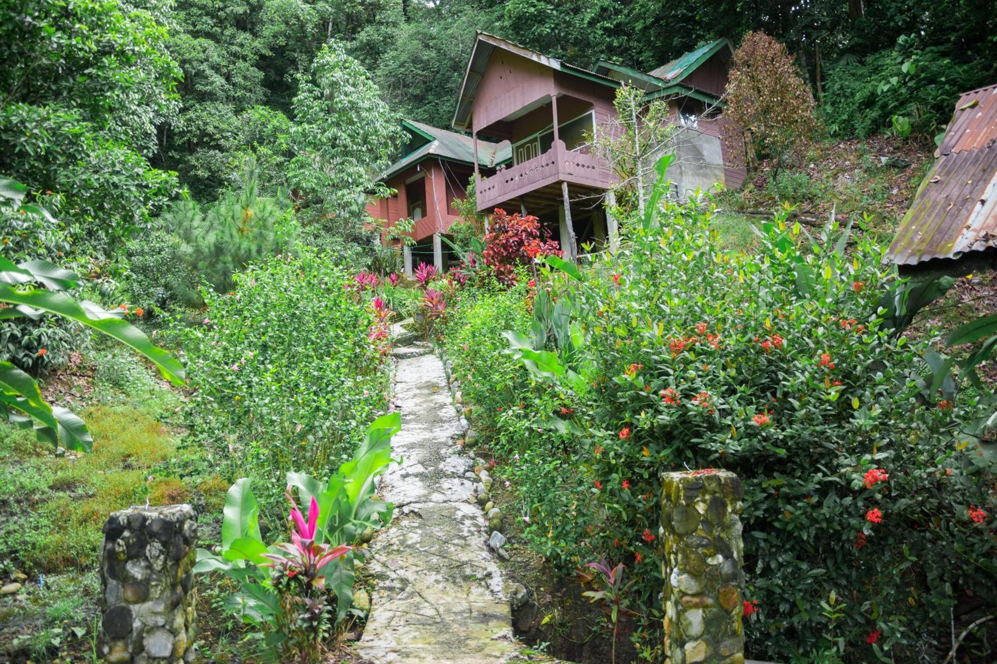 Pak Mus Guest House Ketambe - 0813-7072-1793 Kutacane Ngoại thất bức ảnh