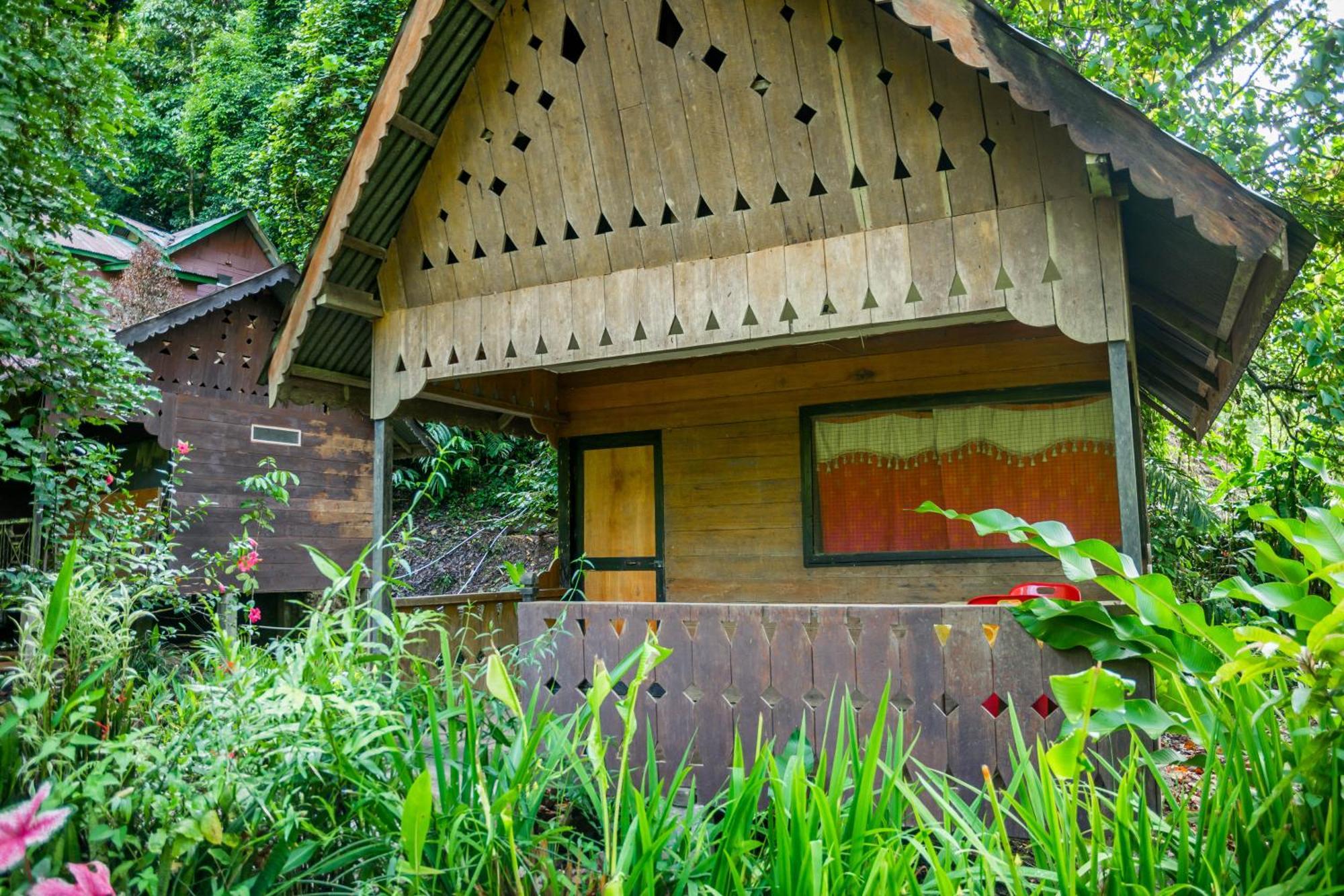Pak Mus Guest House Ketambe - 0813-7072-1793 Kutacane Ngoại thất bức ảnh