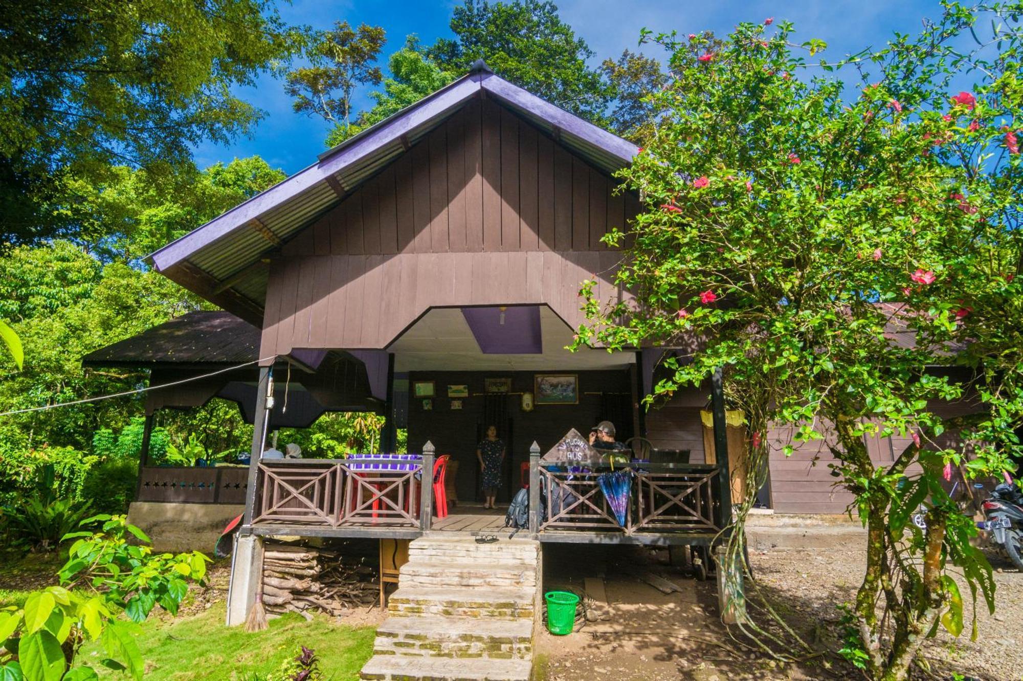 Pak Mus Guest House Ketambe - 0813-7072-1793 Kutacane Ngoại thất bức ảnh