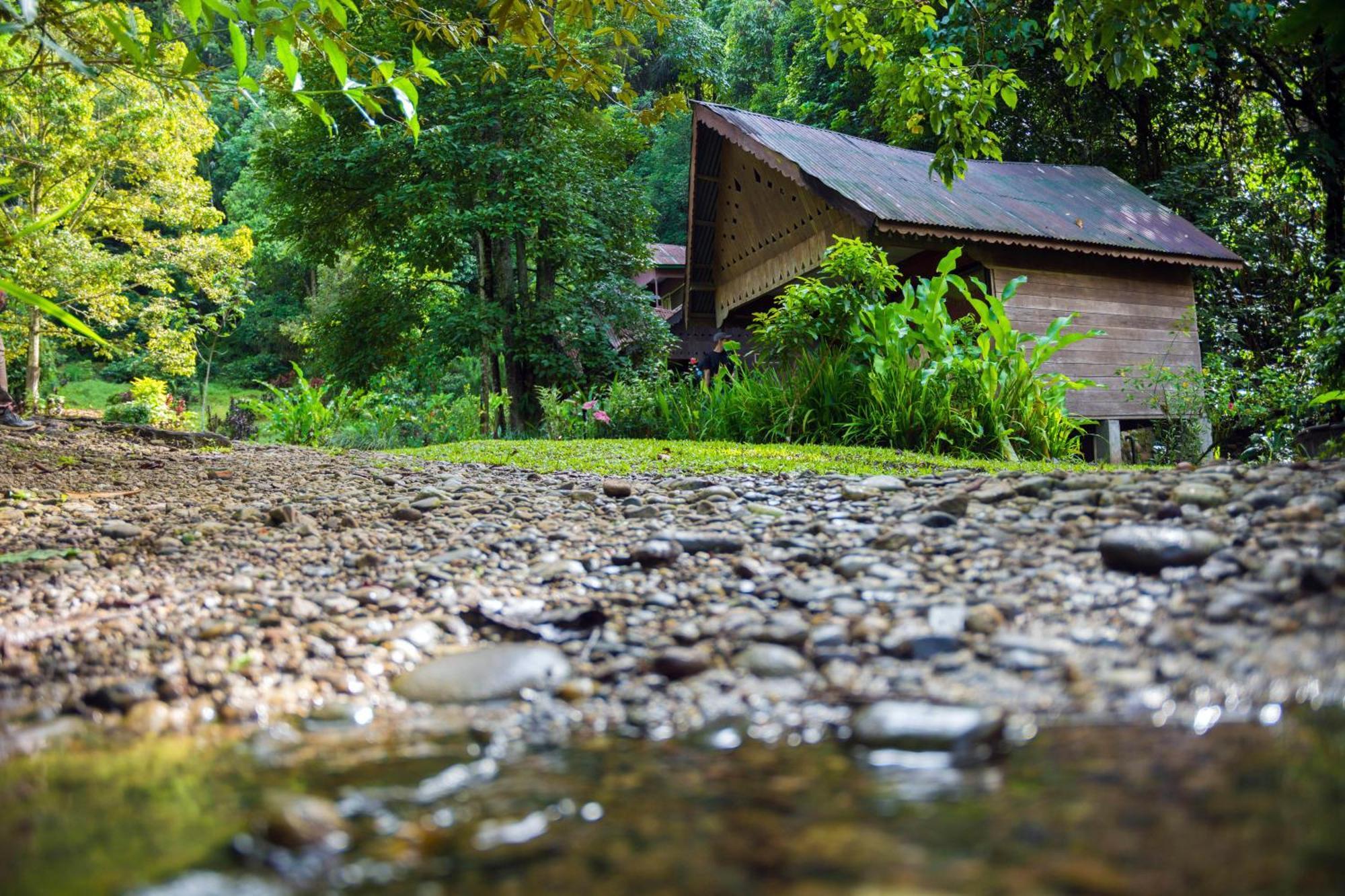 Pak Mus Guest House Ketambe - 0813-7072-1793 Kutacane Ngoại thất bức ảnh